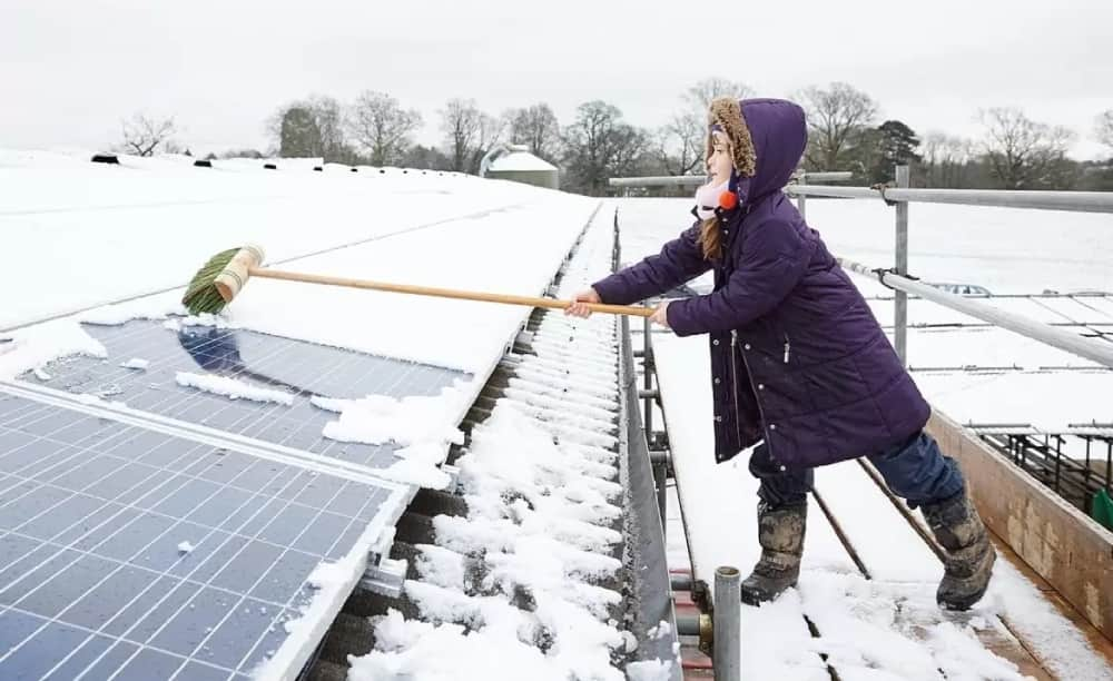 Solar panel snow deals rake