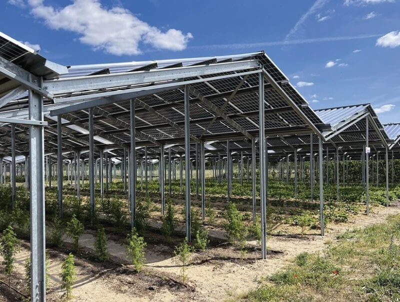 solar farm